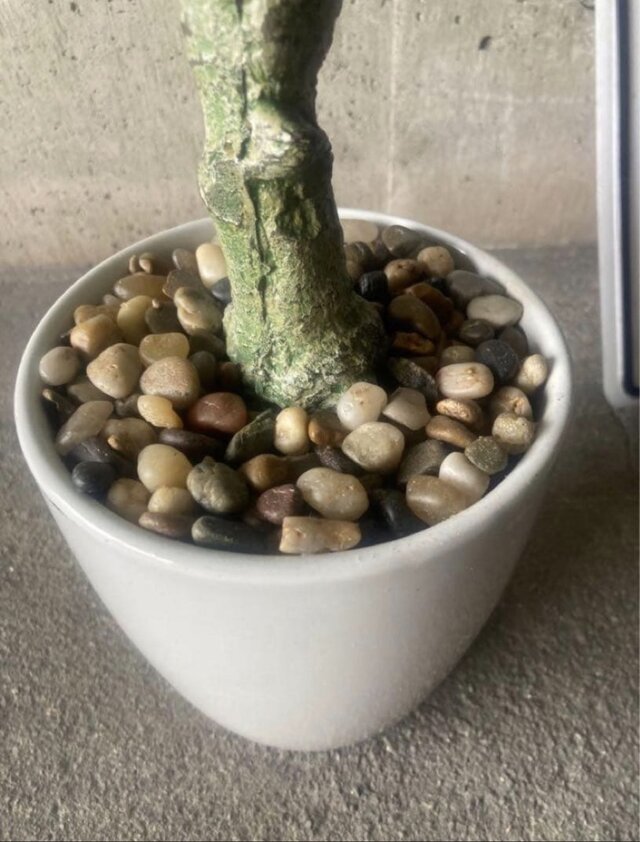 光触媒 人工観葉植物 ウォールグリーン フェイク ベンジャミンフィカス