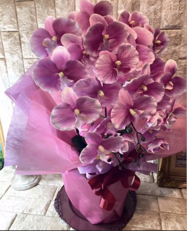 光触媒 人工観葉植物 ウォールグリーン フェイクグリーン 胡蝶蘭6142aj