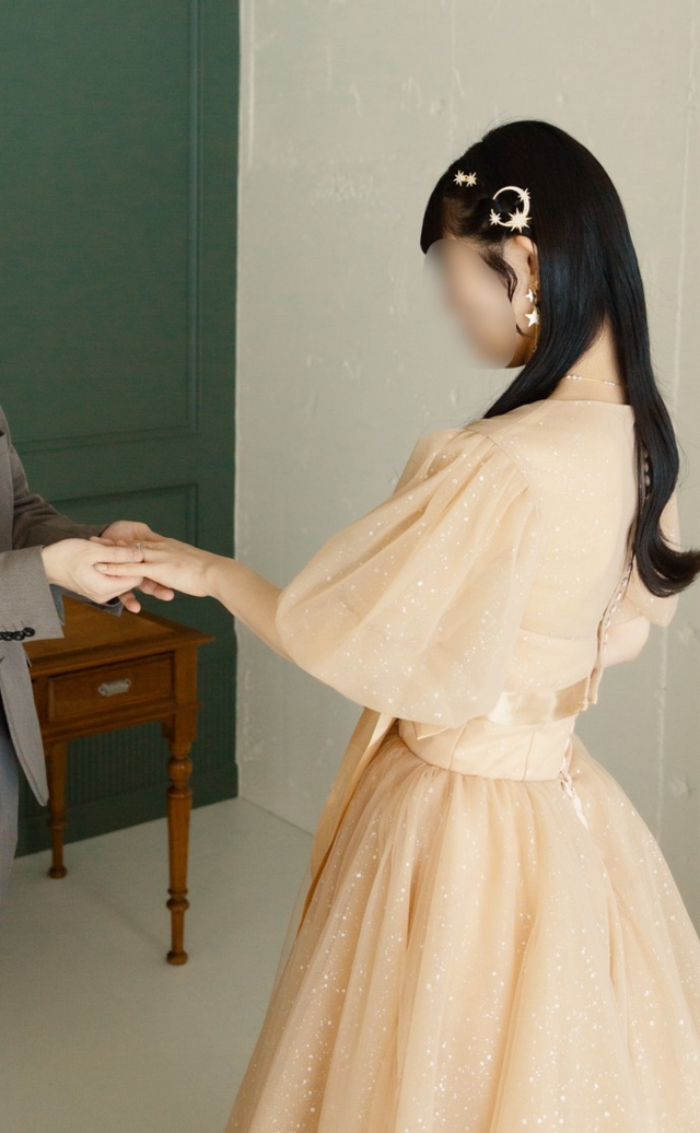 実例写真！シャンパン色 トップスのみ Vネック 半袖 キラキラチュール