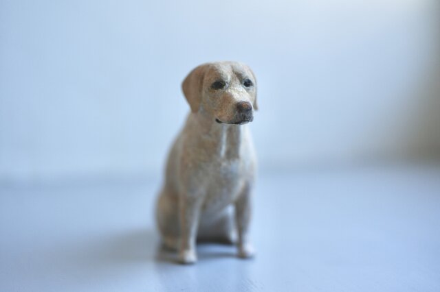 犬 ラブラドールレトリバー | iichi 日々の暮らしを心地よくする