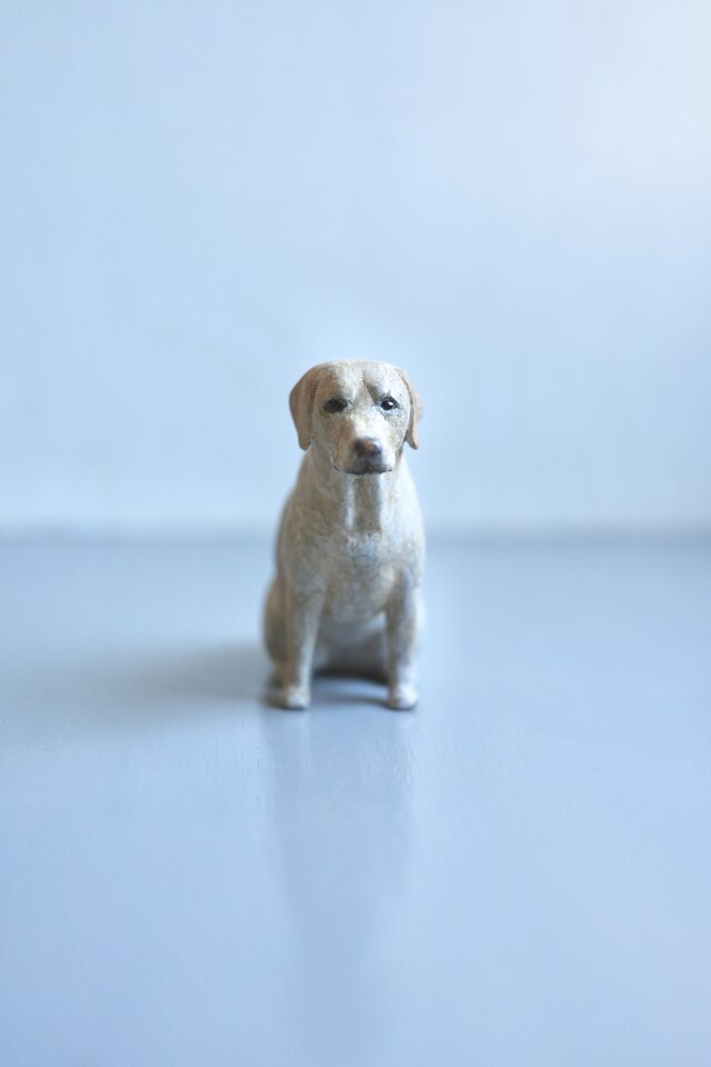 犬 ラブラドールレトリバー | iichi 日々の暮らしを心地よくする