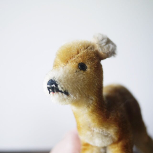 STEIFF 若い鹿 Jungreh ヴィンテージシュタイフ ドイツ | iichi 日々の