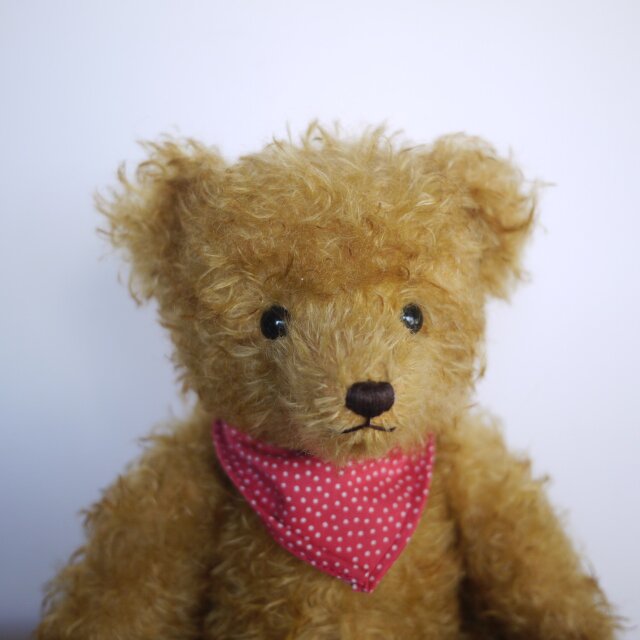 ハーマン 限定グロウラーベア HERMANN Teddy ORIGINALドイツ | iichi