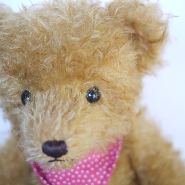 ハーマン 限定グロウラーベア HERMANN Teddy ORIGINALドイツ | iichi