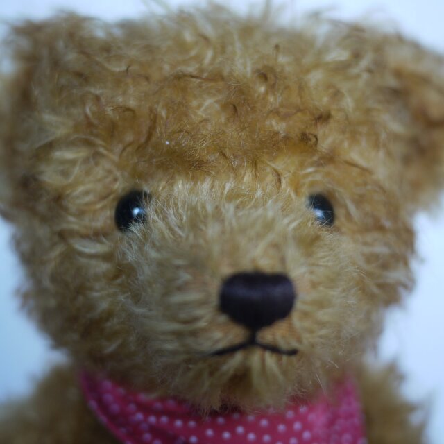 ハーマン 限定グロウラーベア HERMANN Teddy ORIGINALドイツ | iichi