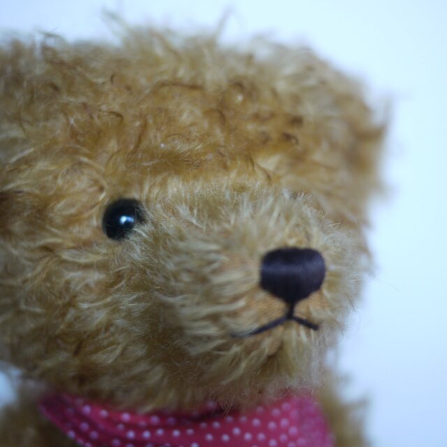ハーマン 限定グロウラーベア HERMANN Teddy ORIGINALドイツ | iichi