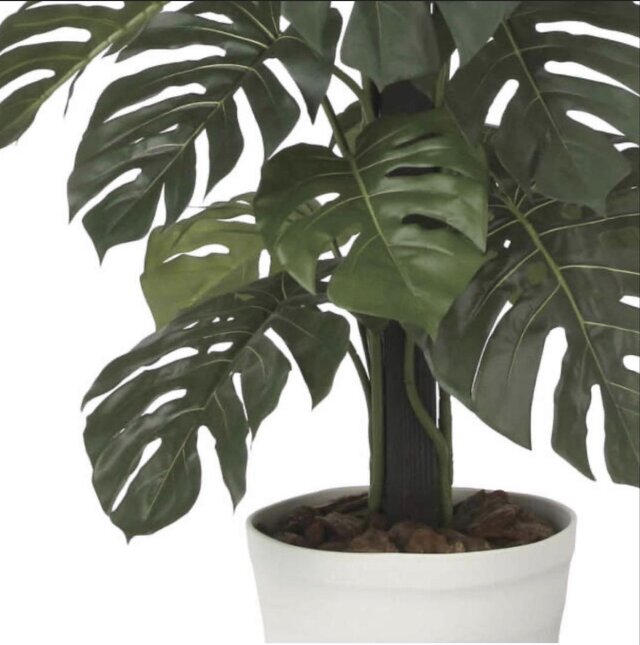 光触媒 人工観葉植物 ウォールグリーン フェイクグリーン モンステラ
