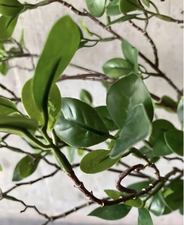 光触媒 人工観葉植物 ウォールグリーン フェイクグリーン ドウダン花器