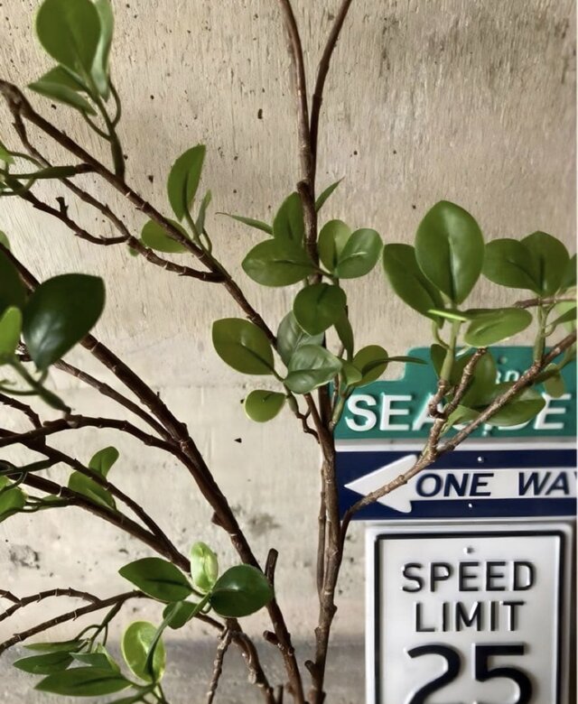 光触媒 人工観葉植物 ウォールグリーン フェイクグリーン ドウダン花器