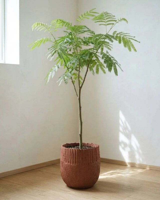 6号 植木鉢 GROW ~Soil Planter~｜京都の土を手塗りした縦長の鉢