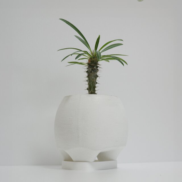 4号 植木鉢 Orb ｜まるく小さな白い鉢｜受け皿付き 多肉植物 デスク
