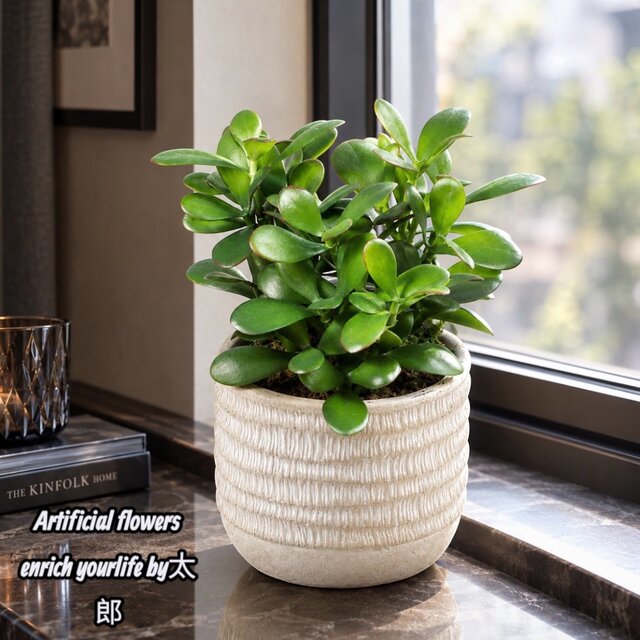 光触媒 人工観葉植物 ウォールグリーン フェイクグリーン 21エケベリア