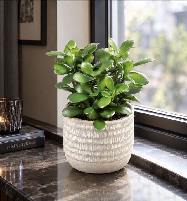 光触媒 人工観葉植物 ウォールグリーン フェイクグリーン 21エケベリア
