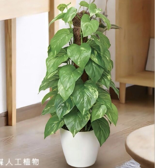 光触媒 人工観葉植物 フェイクグリーン ウォールグリーン フレッシュ