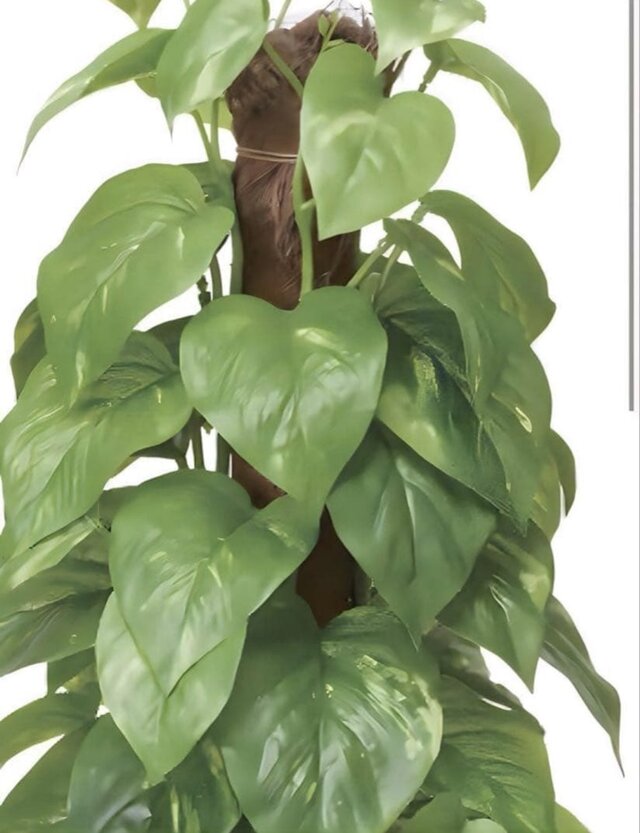 光触媒 人工観葉植物 フェイクグリーン ウォールグリーン フレッシュ