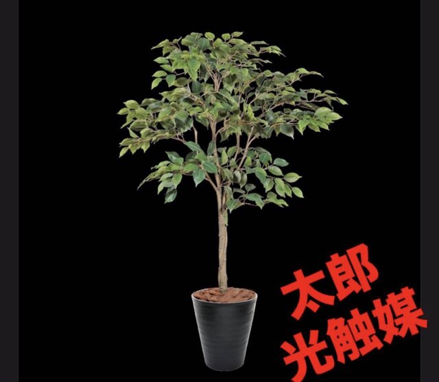 光触媒　人工観葉植物　ウォールグリーン　フェイクグリーン　ベンジャミン8158 光触媒 人工観葉植物 ウォールグリーン フェイクグリーン ベンジャミン
