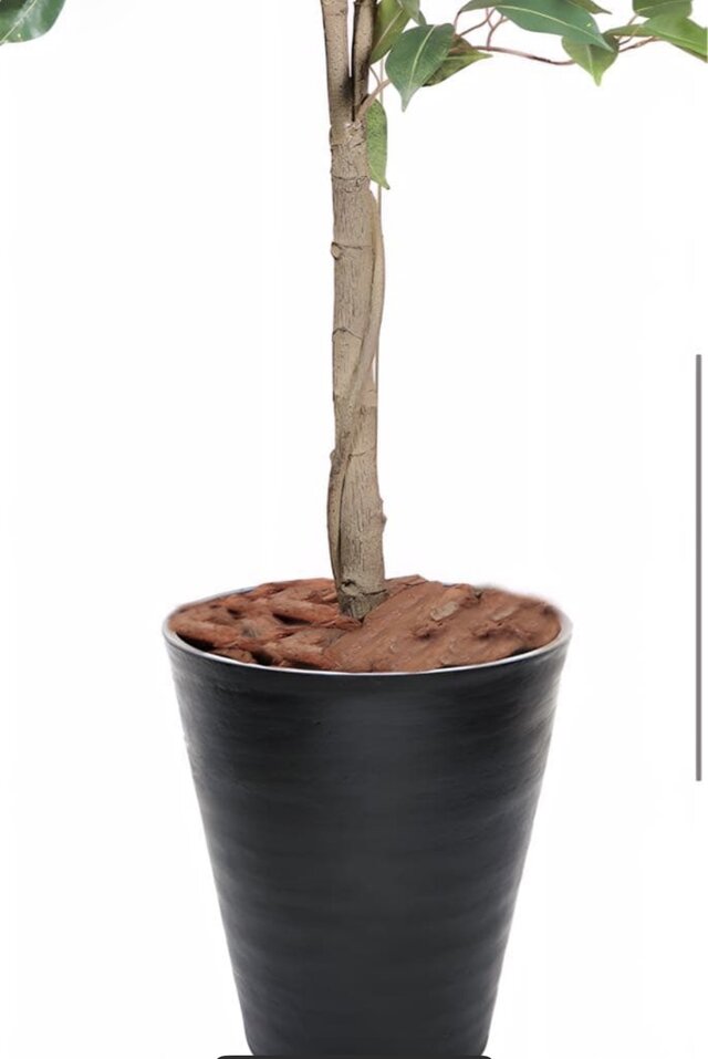 光触媒 人工観葉植物 ウォールグリーン フェイクグリーン ベンジャミン