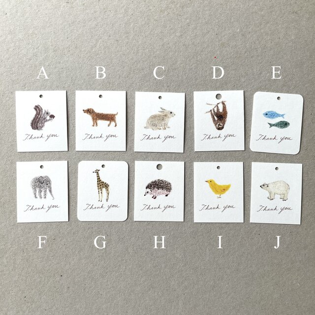 選べる小さな動物のメッセージカード サンキューカード タグ 40枚