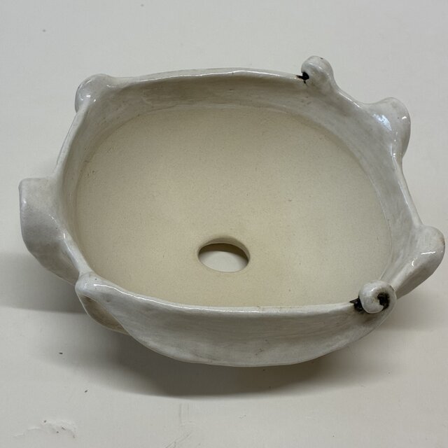 ごろんの鉢 | iichi 日々の暮らしを心地よくするハンドメイドや