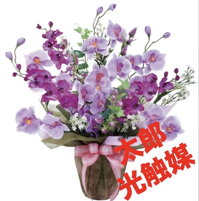 光触媒　造花　観葉植物　ウォールグリーン　フェイクグリーン　ツインカサブランカ 光触媒 人工観葉植物 ウォールグリーン フェイクグリーン ツイン