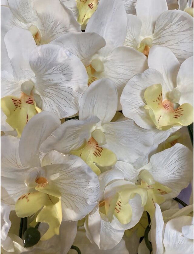 光触媒 人工観葉植物 ウォールグリーン フェイクグリーン 造花 胡蝶蘭