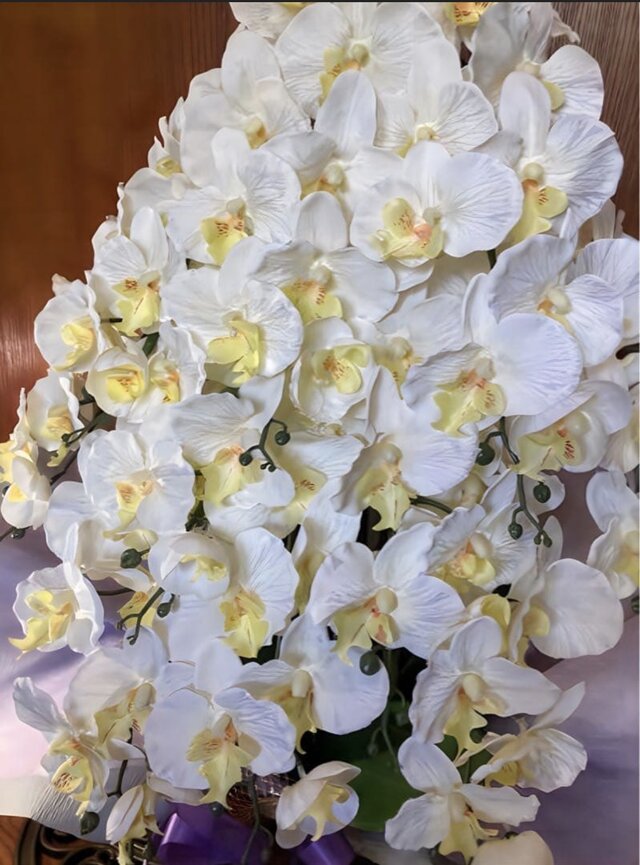 光触媒 人工観葉植物 ウォールグリーン フェイクグリーン 造花 胡蝶蘭