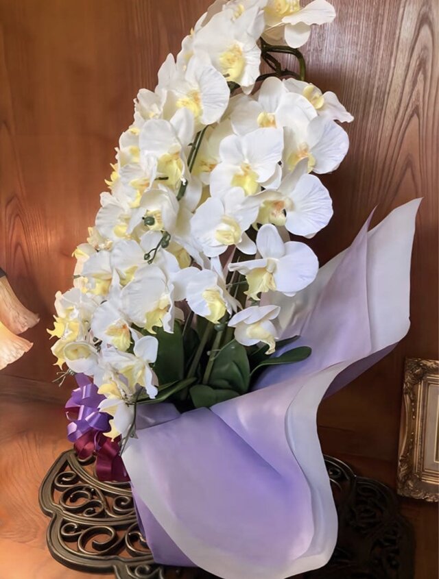 光触媒 人工観葉植物 ウォールグリーン フェイクグリーン 造花 胡蝶蘭