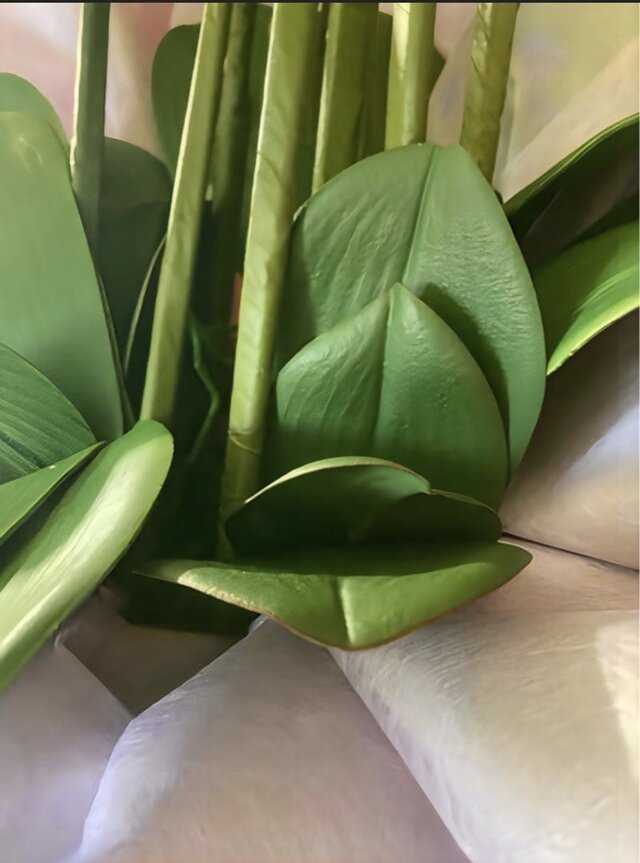 光触媒 人工観葉植物 ウォールグリーン フェイクグリーン 造花 胡蝶蘭