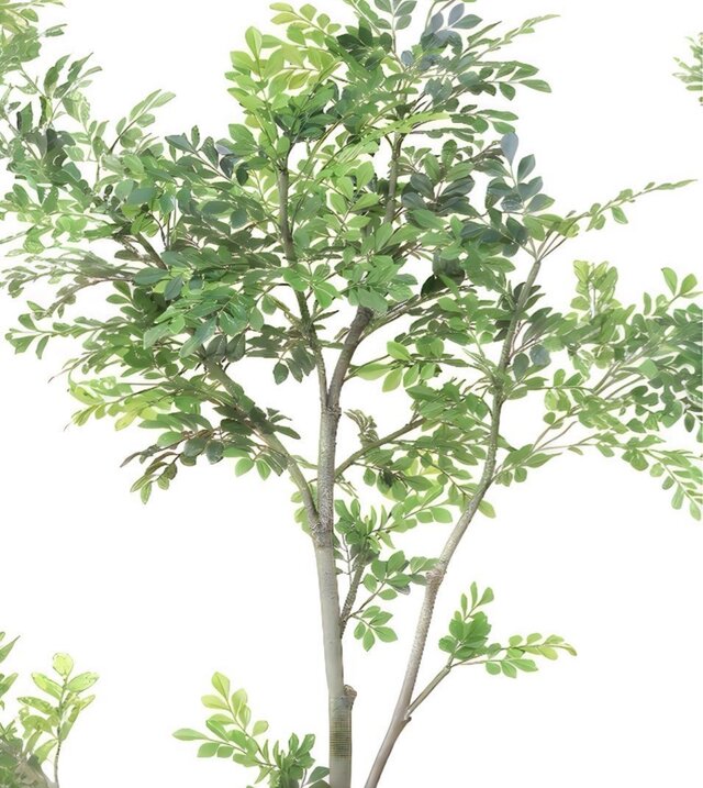 光触媒 人工観葉植物 ウォールグリーン フェイクグリーン トネリコ1123