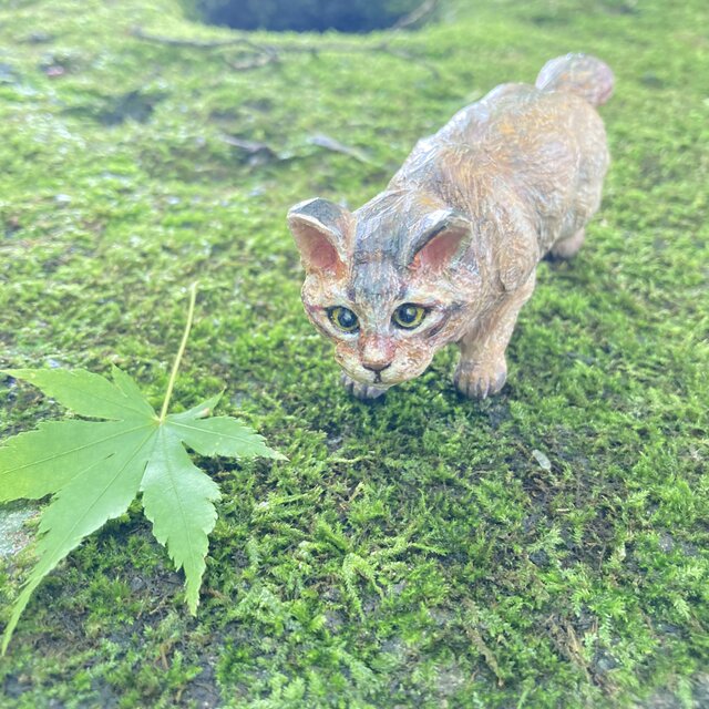 ソマリ森の扉を開く（木彫りの猫の置物） | iichi 日々の暮らしを