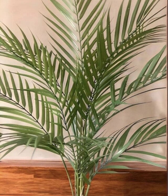 光触媒 人工観葉植物 ウォールグリーン フェイクグリーン アレカヤシ白