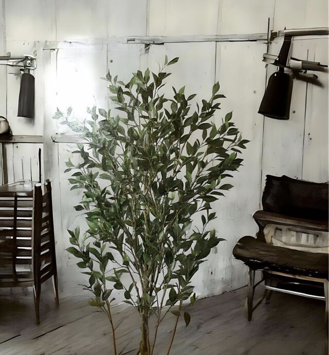 光触媒 人工観葉植物 ウォールグリーン フェイクグリーン フィカス