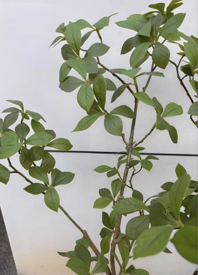 光触媒　人工観葉植物　ウォールグリーン　フェイクグリーン　マダガスカル8337 光触媒 人工観葉植物 ウォールグリーン フェイクグリーン マダガスカル