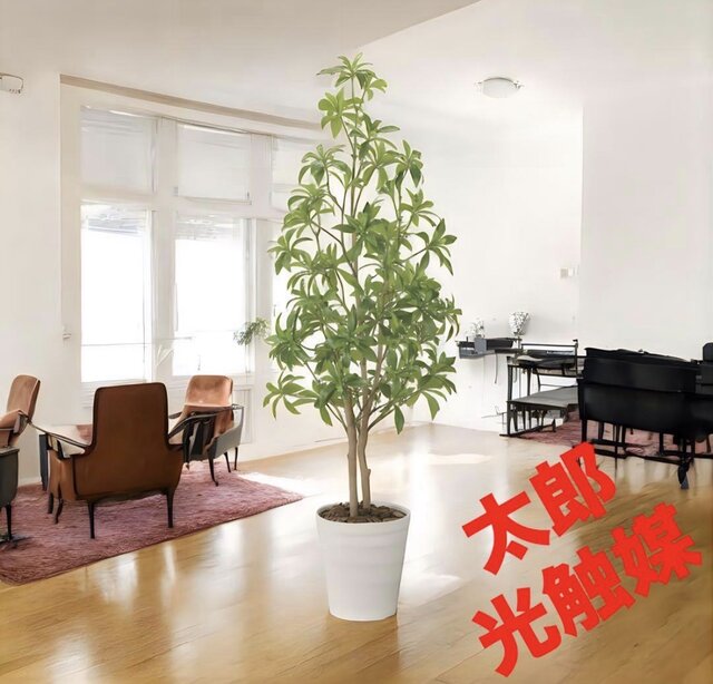 光触媒　人工観葉植物　フェイクグリーン　インテリアフレッシュアセビ 光触媒 観葉植物 ウォールグリーン フェイクグリーン フレッシュアセビ