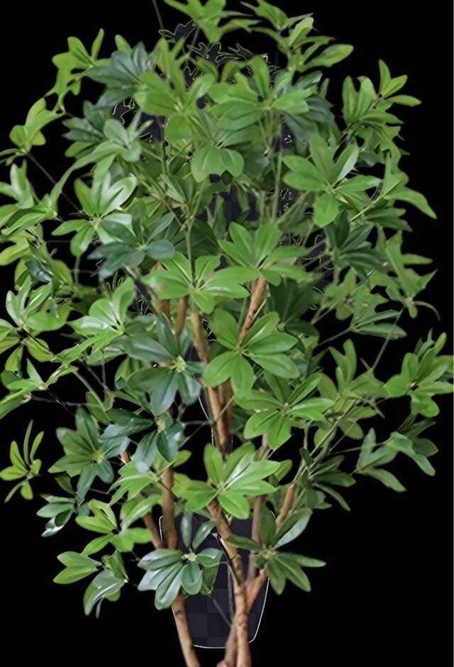 光触媒 人工観葉植物 ウォールグリーン フェイクグリーン カポック8321