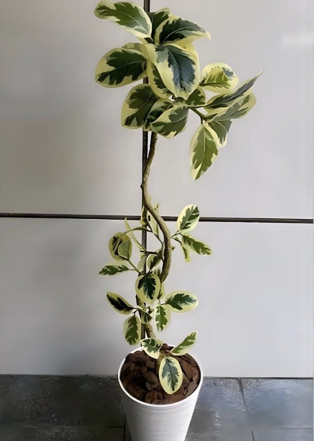 光触媒 人工観葉植物 ウォールグリーン フェイクグリーン ツイスト