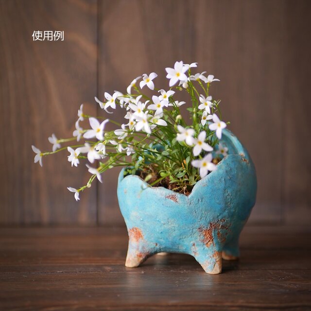 青い鉢の盆栽 No.6 青色植木鉢 no.6 | iichi 日々の暮らしを心地よくするハンドメイドや