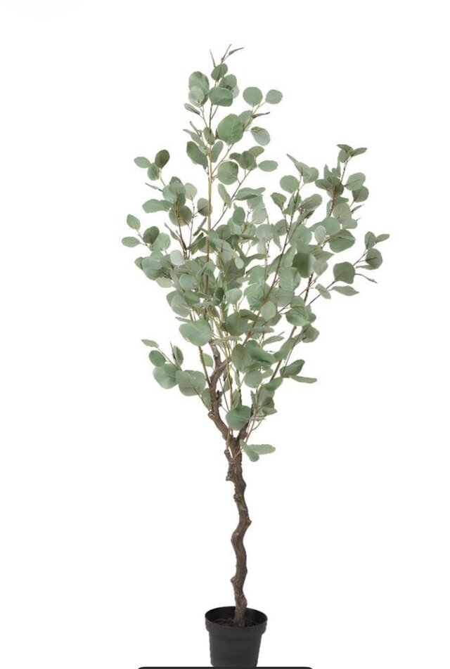 光触媒 人工観葉植物 ウォールグリーンフェイクグリーン ユーカリ13070