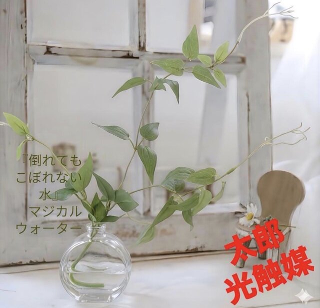 光触媒　観葉植物　ウォールグリーン　フェイクグリーン　マジカルウォーター1206 光触媒 人工観葉植物 ウォールグリーン フェイクグリーン マジカル