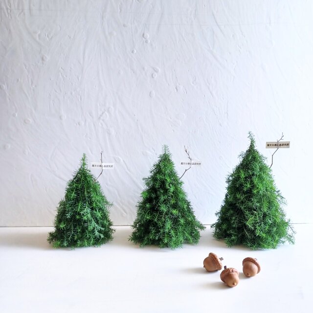 小さな魔女の棲む森 ～Trulli～ リース クリスマス ツリー【order】 小さな魔女の棲む森 ～Trulli～ dried-botanical wreath ₒᵦⱼₑ𝒸ₜ 365