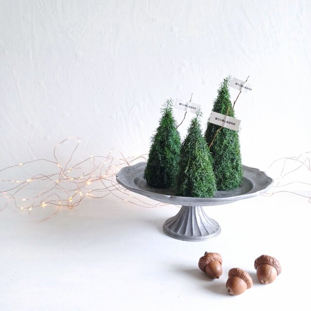 小さな魔女の棲む森 ～Trulli～ dried-botanical wreath ₒᵦⱼₑ𝒸ₜ 365