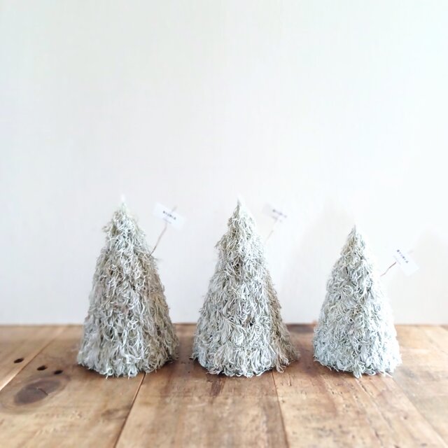 小さな魔女の棲む森 ～ Trulli ～ dried-botanical autumn wreath tree