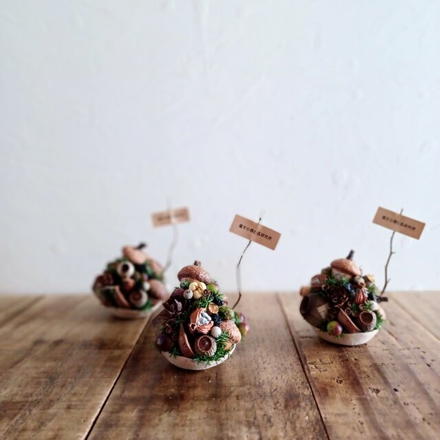Petite・Foret ～ Le Sortilège Sucré ～ dried-botanical wreath cake