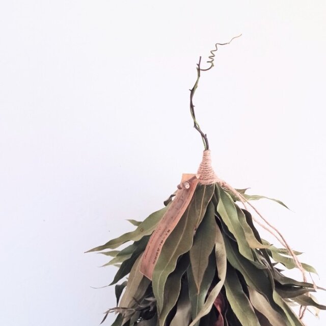 魔女の棲む森 ～小さな魔女の秘密基地～ botanical autumn wreath tree