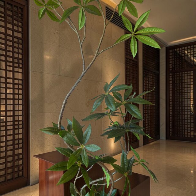 光触媒 人工観葉植物 ウォールグリーン フェイクグリーン コブラパキラ