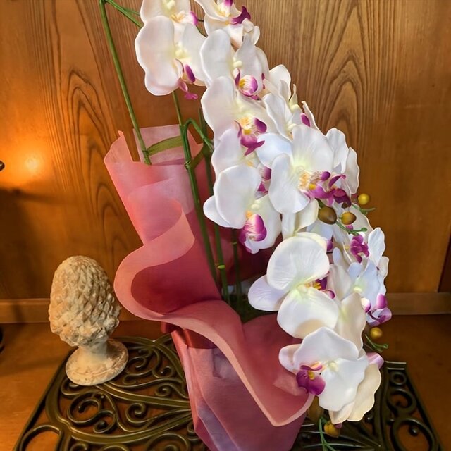 光触媒 人工観葉植物 ウォールグリーン フェイクグリーン 造花 胡蝶蘭