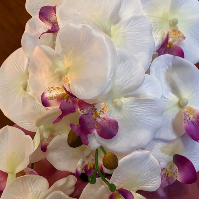 光触媒 人工観葉植物 ウォールグリーン フェイクグリーン 造花 胡蝶蘭