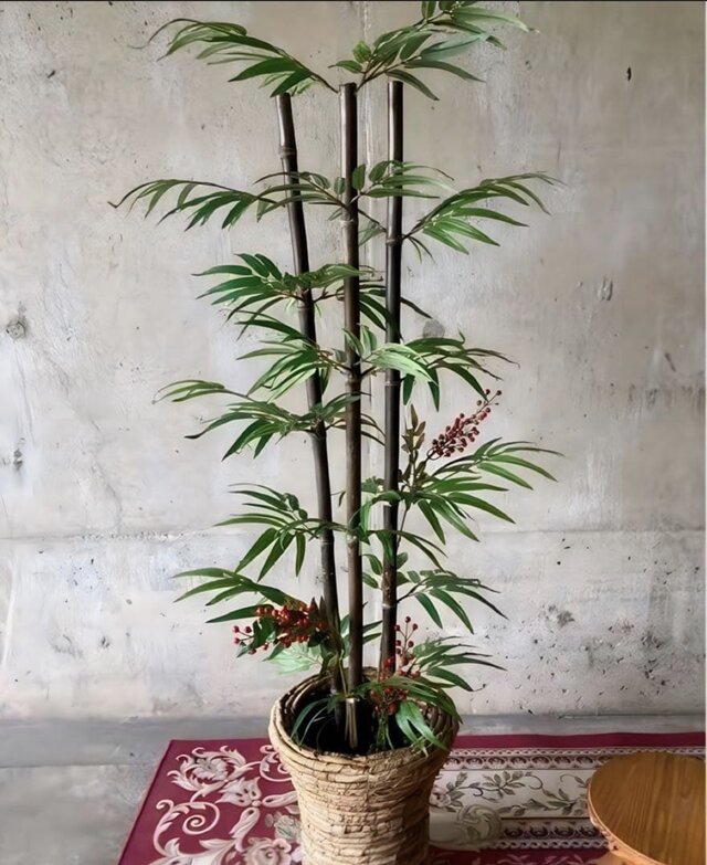 光触媒　人工観葉植物　ウォールグリーン　フェイクグリーン　黒竹&南天1.6m 光触媒 人工観葉植物 ウォールグリーン フェイクグリーン 黒竹南天カゴ