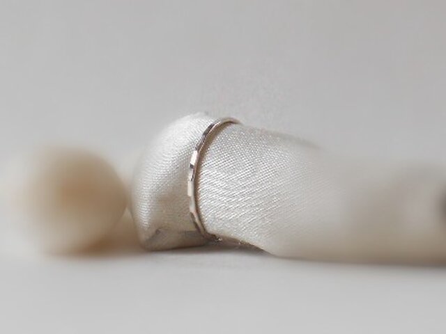 silverRing 0260の画像1枚目