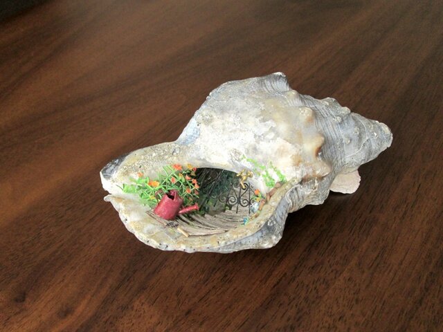 貝がら ミニチュア 散歩道の画像1枚目